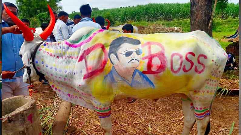 ಅಭಿಮಾನವನ್ನು ಹೀಗೂ ತೋರಿಸಬಹುದು; ಪ್ರಾಣಿಪ್ರಿಯ ದರ್ಶನ್ ಇದನ್ನು ನೋಡಿದ್ರೆ ಖುಷಿಯಾಗೋದು ಗ್ಯಾರಂಟಿ ಅಭಿಮಾನವನ್ನು ಹೀಗೂ ತೋರಿಸಬಹುದು; ಪ್ರಾಣಿಪ್ರಿಯ ದರ್ಶನ್ ಇದನ್ನು ನೋಡಿದ್ರೆ ಖುಷಿಯಾಗೋದು ಗ್ಯಾರಂಟಿ