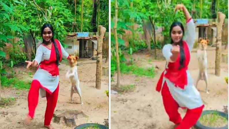 Viral Video: ಯುವತಿಯೊಂದಿಗೆ ಶಾಸ್ತ್ರೀಯ ಸಂಗೀತಕ್ಕೆ ಸ್ಟೆಪ್ ಹಾಕಿದ ಶ್ವಾನ! ಕ್ಯೂಟ್ ವಿಡಿಯೋ ನೀವೂ ನೋಡಿ Viral Video: ಯುವತಿಯೊಂದಿಗೆ ಶಾಸ್ತ್ರೀಯ ಸಂಗೀತಕ್ಕೆ ಸ್ಟೆಪ್ ಹಾಕಿದ ಶ್ವಾನ! ಕ್ಯೂಟ್ ವಿಡಿಯೋ ನೀವೂ ನೋಡಿ