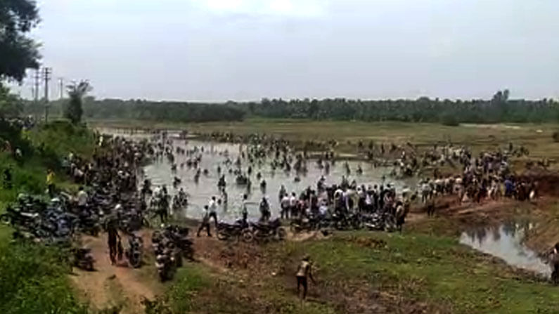 ಹಾಸನದಲ್ಲಿ ಮೀನು ಹಿಡಿಯಲು ಕೆರೆಗೆ ನುಗ್ಗಿದ ಸಾವಿರಾರು ಜನ; ವಿಡಿಯೋ ವೈರಲ್ ಹಾಸನದಲ್ಲಿ ಮೀನು ಹಿಡಿಯಲು ಕೆರೆಗೆ ನುಗ್ಗಿದ ಸಾವಿರಾರು ಜನ; ವಿಡಿಯೋ ವೈರಲ್