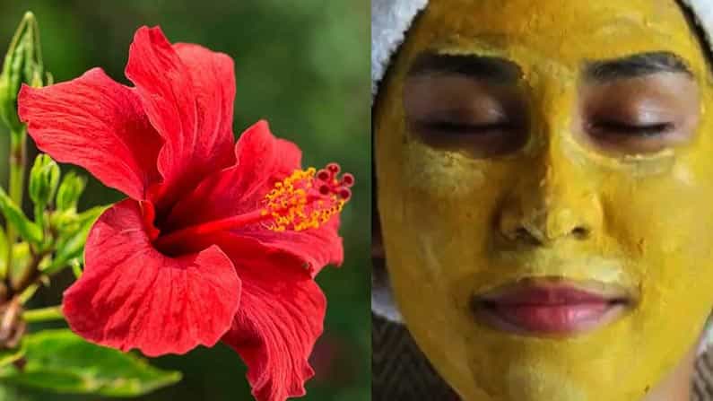 ದಾಸವಾಳ ಹೂವಿನಿಂದ ಮುಖದ ಕಾಂತಿ ಹೆಚ್ಚಿಸಬಹುದು: ವಿವಿಧ ಫೇಸ್ ಪ್ಯಾಕ್ಗಳ ಮಾಹಿತಿ ಇಲ್ಲಿದೆ ದಾಸವಾಳ ಹೂವಿನಿಂದ ಮುಖದ ಕಾಂತಿ ಹೆಚ್ಚಿಸಬಹುದು: ವಿವಿಧ ಫೇಸ್ ಪ್ಯಾಕ್ಗಳ ಮಾಹಿತಿ ಇಲ್ಲಿದೆ