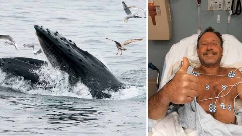 ತಿಮಿಂಗಲು ಪೂರ್ತಿಯಾಗಿ ನುಂಗಿದ್ದರೂ ಲಾಬಸ್ಟರ್ ಹಿಡಿಯುವ ಪೆಕಾರ್ಡ್ ತನ್ನ ಭಯಾನಕ ಅನುಭವ ಹೇಳಲು ಬದುಕುಳಿದ