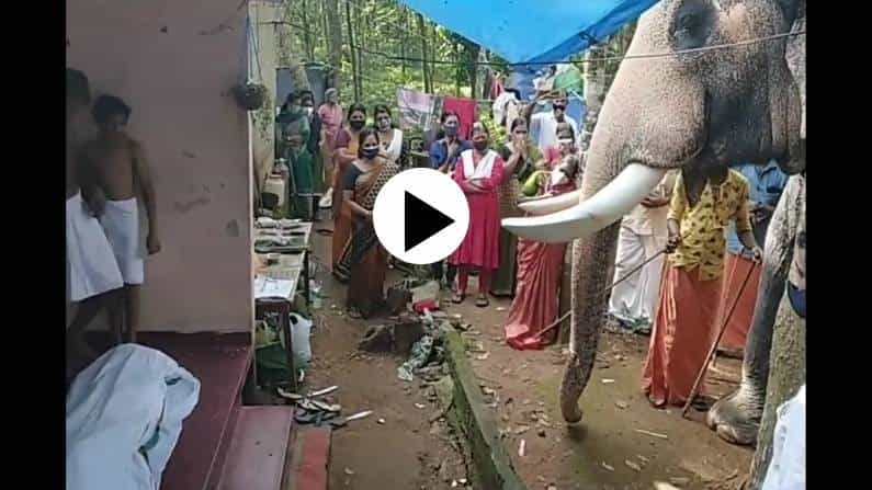 ಕಣ್ಮುಚ್ಚಿದ ಮಾವುತನಿಗೆ ಅತ್ಯಂತ ಗೌರವಯುತ ವಿದಾಯ ನೀಡಿದ ಆನೆ; ಇಲ್ಲಿದೆ ನೋಡಿ ಭಾವುಕ ವಿಡಿಯೋ ಕಣ್ಮುಚ್ಚಿದ ಮಾವುತನಿಗೆ ಅತ್ಯಂತ ಗೌರವಯುತ ವಿದಾಯ ನೀಡಿದ ಆನೆ; ಇಲ್ಲಿದೆ ನೋಡಿ ಭಾವುಕ ವಿಡಿಯೋ