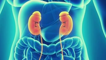 Kidney Dialysis: ಕಿಡ್ನಿ ಡಯಾಲಿಸಿಸ್​ಗೆ ಬರುವ ಜನರ ಪ್ರಮಾಣದಲ್ಲಿ ಹೆಚ್ಚಳ; ಬ್ಲ್ಯಾಕ್ ಫಂಗಸ್ ರೋಗಿಗಳಲ್ಲಿ ಹೆಚ್ಚಿನ ಸಮಸ್ಯೆ