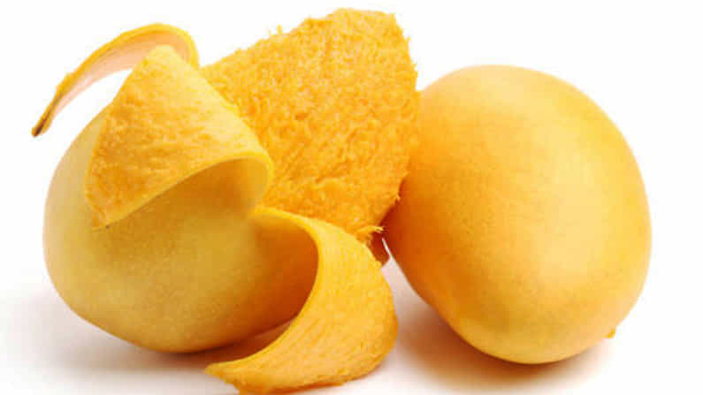 Health Tips: ಮಾವಿನ ಹಣ್ಣಿನ ಸಿಪ್ಪೆಯಲ್ಲಿದೆ ಹಲವು ಪ್ರಯೋಜನಗಳು Health Tips: ಮಾವಿನ ಹಣ್ಣಿನ ಸಿಪ್ಪೆಯಲ್ಲಿದೆ ಹಲವು ಪ್ರಯೋಜನಗಳು