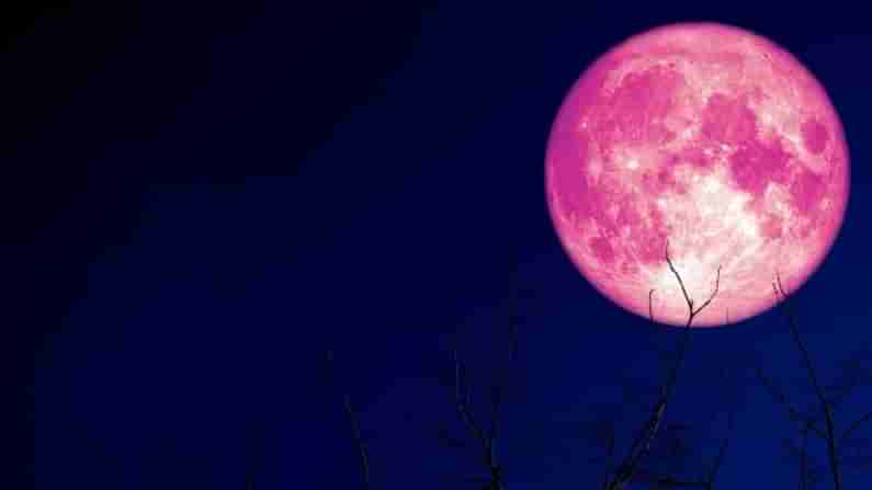 Strawberry Full Moon 2021: ಇಂದು ಸ್ಟ್ರಾಬೆರಿ ಮೂನ್​ ಗೋಚರಿಸುತ್ತಿದೆ! ಭಾರತದಲ್ಲಿ ಈ ವಿಸ್ಮಯವನ್ನು ನೋಡಬಹುದೇ?