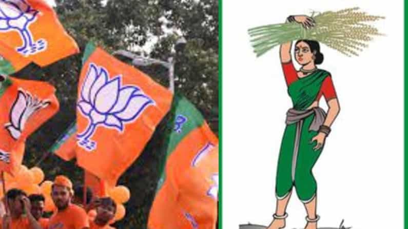 ಇದೇ ಮೊದಲ ಬಾರಿಗೆ ಬಿಜೆಪಿ ತೆಕ್ಕೆಗೆ ಹಾಸನ ನಗರಸಭೆ; ಬಹುಮತಕ್ಕೆ ಹತ್ತಿರವಿದ್ದರೂ ಜೆಡಿಎಸ್​ಗೆ ನಿರಾಸೆ