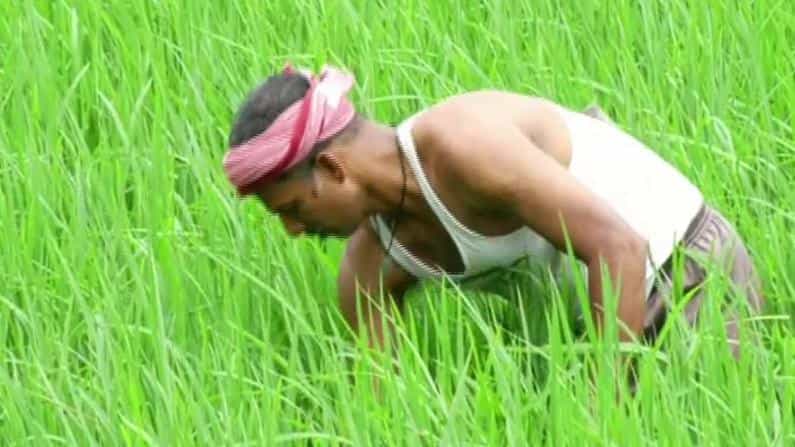 ಸಾವಯವ ಕೃಷಿ ಪದ್ಧತಿ; ಮುಂಬೈನ ಹೊಟೆಲ್ ಕೆಲಸ ಬಿಟ್ಟು ಕೃಷಿ ಕಡೆ ಮುಖ ಮಾಡಿದ ಉಡುಪಿ ವ್ಯಕ್ತಿ ಸಾವಯವ ಕೃಷಿ ಪದ್ಧತಿ; ಮುಂಬೈನ ಹೊಟೆಲ್ ಕೆಲಸ ಬಿಟ್ಟು ಕೃಷಿ ಕಡೆ ಮುಖ ಮಾಡಿದ ಉಡುಪಿ ವ್ಯಕ್ತಿ