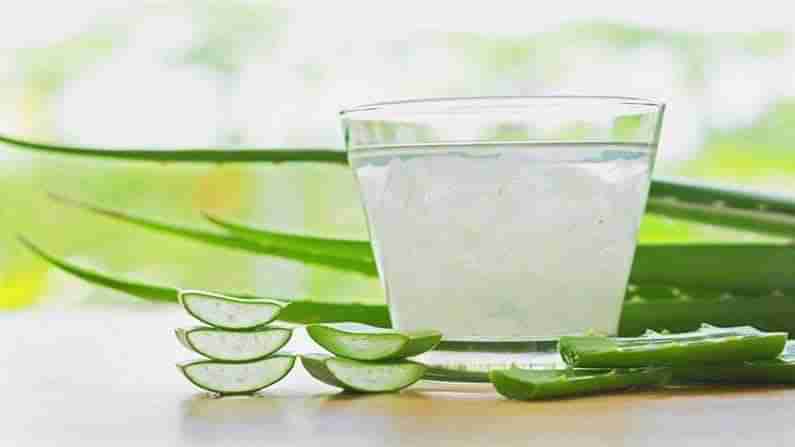 Aloe Vera Juice: ವಸಡು ಸವೆತ, ಹಲ್ಲು ನೋವಿನ ಸಮಸ್ಯೆಯಿಂದ ಬಳಲುತ್ತಿದ್ದೀರಾ? ಲೋಳೇಸರ ಜ್ಯೂಸ್​ ಉತ್ತಮ ಪರಿಹಾರ