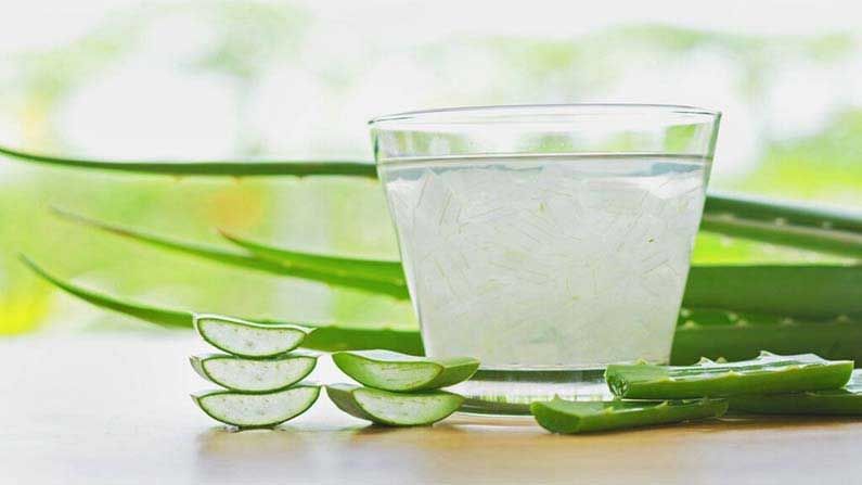 Aloe Vera Juice: ವಸಡು ಸವೆತ, ಹಲ್ಲು ನೋವಿನ ಸಮಸ್ಯೆಯಿಂದ ಬಳಲುತ್ತಿದ್ದೀರಾ? ಲೋಳೇಸರ ಜ್ಯೂಸ್​ ಉತ್ತಮ ಪರಿಹಾರ