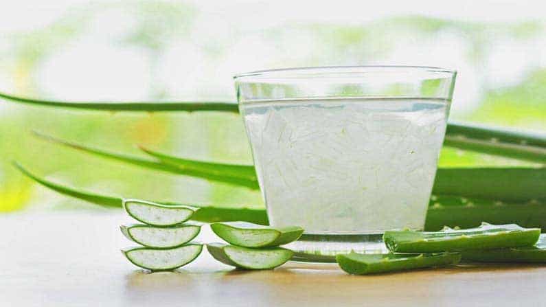 Aloe Vera Juice: ವಸಡು ಸವೆತ, ಹಲ್ಲು ನೋವಿನ ಸಮಸ್ಯೆಯಿಂದ ಬಳಲುತ್ತಿದ್ದೀರಾ? ಲೋಳೇಸರ ಜ್ಯೂಸ್ ಉತ್ತಮ ಪರಿಹಾರ Aloe Vera Juice: ವಸಡು ಸವೆತ, ಹಲ್ಲು ನೋವಿನ ಸಮಸ್ಯೆಯಿಂದ ಬಳಲುತ್ತಿದ್ದೀರಾ? ಲೋಳೇಸರ ಜ್ಯೂಸ್ ಉತ್ತಮ ಪರಿಹಾರ