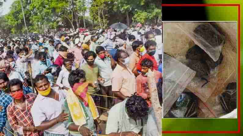 ಆನಂದಯ್ಯ ನಾಟಿ ಔಷಧ ತಯಾರಿಕೆ ಇಂದಿನಿಂದ‌ ಮತ್ತೆ ಆರಂಭ; ಆನ್​ಲೈನ್​ ಮೂಲಕವೂ ಔಷಧ ವಿತರಣೆ