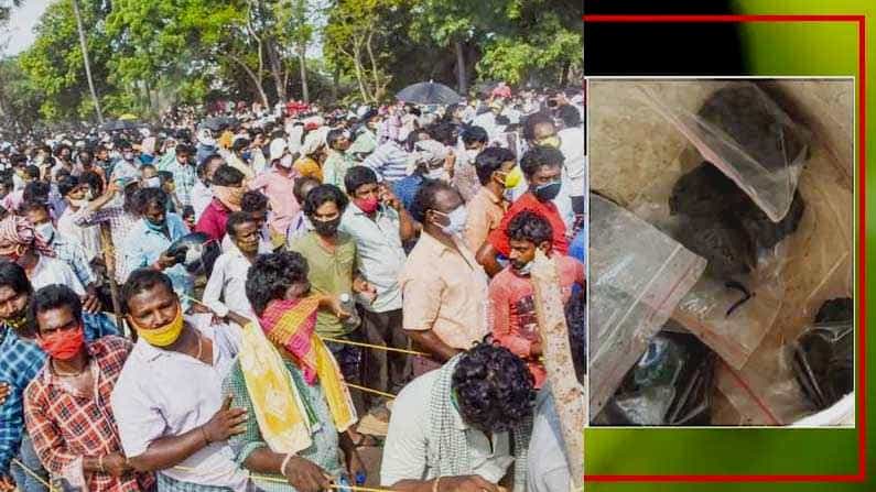 ಕೊರೊನಾಗೆ ಆನಂದಯ್ಯ ಔಷಧಿ: ಕರ್ನಾಟಕದಲ್ಲಿಯೂ ವಿತರಣೆಗೆ ಅನುಮತಿ ನೀಡಲು ಮನವಿ