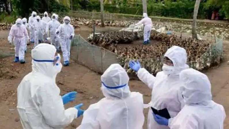 Explainer: H10N3 ವೈರಸ್ ಹೇಗೆ ಹರಡುತ್ತದೆ? ವೈರಸ್ ಸೋಂಕು ತಡೆಯುವುದು ಹೇಗೆ?