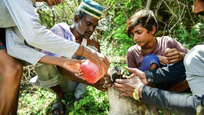 ಗೋರಕ್ಷಣೆ ಮಾಡಿದ ಮುಸ್ಲಿಂ ಯುವಕರು; ಸೌಹಾರ್ದ, ಸಾಮರಸ್ಯಕ್ಕೆ ಸಾಕ್ಷಿಯಾದ ಕಾರ್ಯಾಚರಣೆ ಗೋರಕ್ಷಣೆ ಮಾಡಿದ ಮುಸ್ಲಿಂ ಯುವಕರು; ಸೌಹಾರ್ದ, ಸಾಮರಸ್ಯಕ್ಕೆ ಸಾಕ್ಷಿಯಾದ ಕಾರ್ಯಾಚರಣೆ