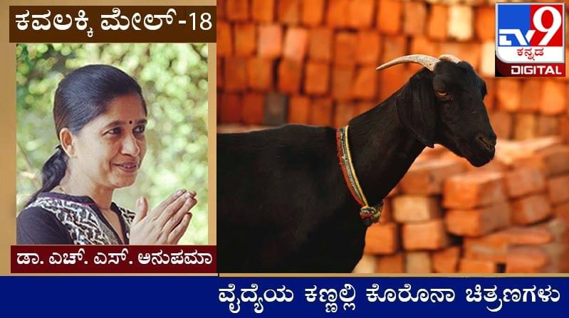 Covid diary ; ಕವಲಕ್ಕಿ ಮೇಲ್ : ಇಂಗ್ಲೆಂಡಿನ ಪೋರ್ಟ್ಸ್​ಮೌತ್ ಹಡಗುಕಟ್ಟೆಯಲ್ಲಿ ಕಾಯುತ್ತಿರುವ ಟ್ರೀಜಾ