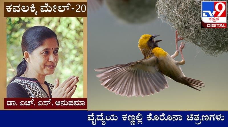 Covid Diary : ಕವಲಕ್ಕಿ ಮೇಲ್ ; ಪ್ರಾಣಿ ಪಕ್ಷಿಗಳಿಗೆ ತಾಯ್ತನ ತೋರಿಸುವವಳು ತಾನು ತಾಯಿ ಆಗಲಾರೆ ಎನ್ನುವಳಲ್ಲ?