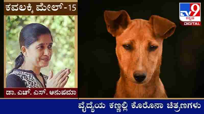 Covid Diary : ಕವಲಕ್ಕಿ ಮೇಲ್ ; ‘ನಮ್ಮನಿ ನಾಯಿಗ್ ಆರಾಮಿಲ್ರ, ಸ್ವಲ್ಪ ಬ್ಯಾಂಡೇಜು ಮುಲಾಮು ನಂಜಿನ್ ಗುಳಿಗಿ...’