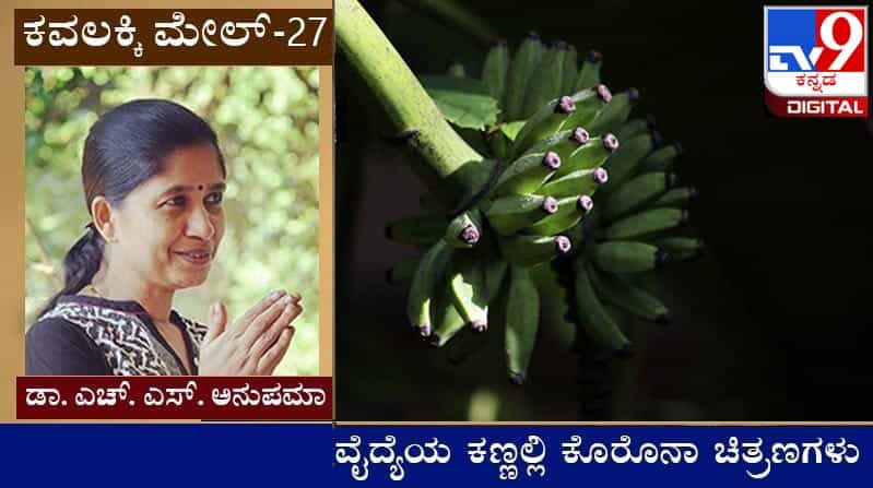 Covid Diary : ಕವಲಕ್ಕಿ ಮೇಲ್ ; ಈಚೀಚ್ಗೆ ನಮ್ಮುಡುಗ ಒನ್ನಮನಿ ಆಡ್ತಾನೆ ಕೊರಡಿನಂಗೆ ಮನಗಿ ಬೆಳಿಗ್ಗಿ ಎಂಟಾದ್ರೂ ಏಳತಿಲ್ಲ Covid Diary : ಕವಲಕ್ಕಿ ಮೇಲ್ ; ಈಚೀಚ್ಗೆ ನಮ್ಮುಡುಗ ಒನ್ನಮನಿ ಆಡ್ತಾನೆ ಕೊರಡಿನಂಗೆ ಮನಗಿ ಬೆಳಿಗ್ಗಿ ಎಂಟಾದ್ರೂ ಏಳತಿಲ್ಲ