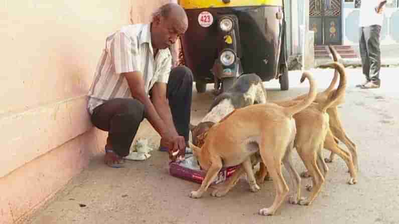 ಬೀದಿ ಪ್ರಾಣಿಗಳಿಗೆ ಆಸರೆಯಾದ ಕೋಲಾರದ ವ್ಯಕ್ತಿ; ನಾಯಿ, ಕೋತಿಗಳಿಗೆ ನಿತ್ಯ ಆಹಾರ ನೀಡಿ ಪೋಷಣೆ