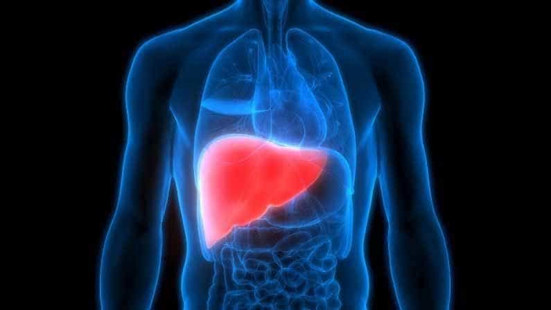 Liver Disease: ಪಿತ್ತಜನಕಾಂಗದಲ್ಲಿನ ಸಮಸ್ಯೆಗಳ ಬಗ್ಗೆ ಚರ್ಮದ ಮೇಲಿನ ಈ 6 ಲಕ್ಷಣಗಳು ಮುನ್ನೆಚ್ಚರಿಕೆ ನೀಡುತ್ತದೆ Liver Disease: ಪಿತ್ತಜನಕಾಂಗದಲ್ಲಿನ ಸಮಸ್ಯೆಗಳ ಬಗ್ಗೆ ಚರ್ಮದ ಮೇಲಿನ ಈ 6 ಲಕ್ಷಣಗಳು ಮುನ್ನೆಚ್ಚರಿಕೆ ನೀಡುತ್ತದೆ