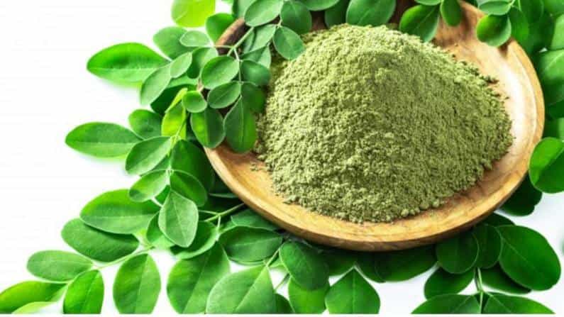 Health Tips: ನುಗ್ಗೆಕಾಯಿ ಮಾತ್ರವಲ್ಲ, ಸೊಪ್ಪಿನಲ್ಲೂ ಸಾಕಷ್ಟು ಔಷಧೀಯ ಗುಣಗಳು ಅಡಗಿವೆ Health Tips: ನುಗ್ಗೆಕಾಯಿ ಮಾತ್ರವಲ್ಲ, ಸೊಪ್ಪಿನಲ್ಲೂ ಸಾಕಷ್ಟು ಔಷಧೀಯ ಗುಣಗಳು ಅಡಗಿವೆ