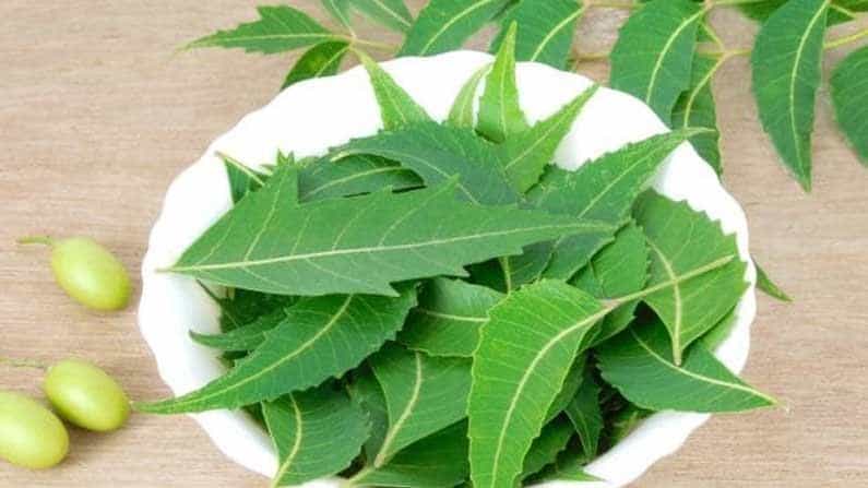 Neem Leaves: ಕಹಿ ಬೇವಿನ ಸೇವನೆ ಕಷ್ಟವಾದರೂ, ಆರೋಗ್ಯಕರ ಗುಣಗಳ ದೃಷ್ಟಿಯಿಂದ ಸೇವಿಸುವ ಅಭ್ಯಾಸ ಮಾಡಿಕೊಳ್ಳಿ Neem Leaves: ಕಹಿ ಬೇವಿನ ಸೇವನೆ ಕಷ್ಟವಾದರೂ, ಆರೋಗ್ಯಕರ ಗುಣಗಳ ದೃಷ್ಟಿಯಿಂದ ಸೇವಿಸುವ ಅಭ್ಯಾಸ ಮಾಡಿಕೊಳ್ಳಿ