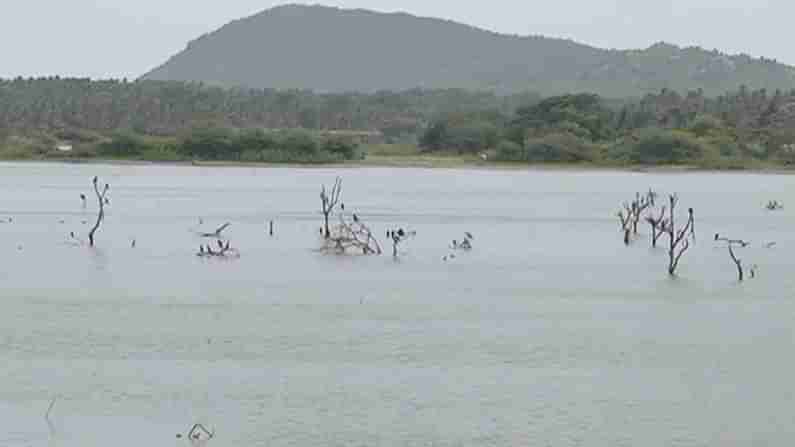 ಭೂಗಳ್ಳರ ವಿರುದ್ಧ ಗೂಂಡಾ ಪ್ರಕರಣ ದಾಖಲಿಸಲು ಮುಂದಾದ ರಾಮನಗರ ಜಿಲ್ಲಾಡಳಿತ; ಈ ಕಾರ್ಯಕ್ಕೆ ರೈತರಿಂದ ಪ್ರಶಂಸೆ