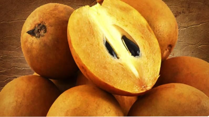 Sapodilla Benefits: ಸಪೋಟಾ ಹಣ್ಣಿನ ಆರೋಗ್ಯಕರ ಗುಣಗಳ ಬಗ್ಗೆ ತಿಳಿದರೆ ಒಂದು ಹಣ್ಣನ್ನೂ ನೀವು ಹಾಳು ಮಾಡುವುದಿಲ್ಲ