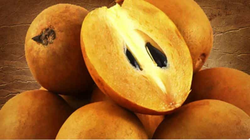 Sapodilla Benefits: ಸಪೋಟಾ ಹಣ್ಣಿನ ಆರೋಗ್ಯಕರ ಗುಣಗಳ ಬಗ್ಗೆ ತಿಳಿದರೆ ಒಂದು ಹಣ್ಣನ್ನೂ ನೀವು ಹಾಳು ಮಾಡುವುದಿಲ್ಲ Sapodilla Benefits: ಸಪೋಟಾ ಹಣ್ಣಿನ ಆರೋಗ್ಯಕರ ಗುಣಗಳ ಬಗ್ಗೆ ತಿಳಿದರೆ ಒಂದು ಹಣ್ಣನ್ನೂ ನೀವು ಹಾಳು ಮಾಡುವುದಿಲ್ಲ
