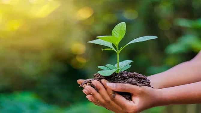 World Nature Conservation Day 2021: ವಿಶ್ವ ಪ್ರಕೃತಿ ಸಂರಕ್ಷಣಾ ದಿನದ ಉದ್ದೇಶ, ಮಹತ್ವ ಮತ್ತು ಇತಿಹಾಸ