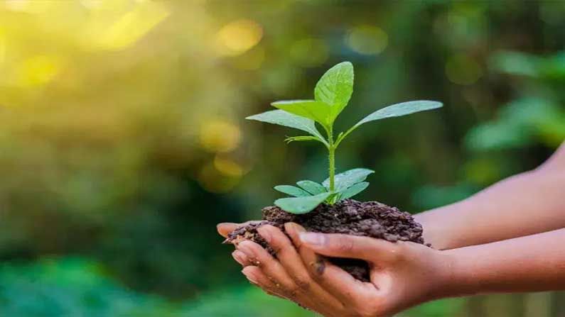 World Environment Day 2021: ಪರಿಸರದ ಕುರಿತಾಗಿ ಜಾಗೃತಿ ಮೂಡಿಸುವ ಆಚರಣೆಗಳು ಯಾವುವು?