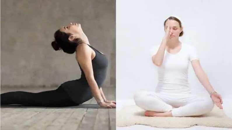 Yoga Benefits: ಪಚನ ಕ್ರಿಯೆ ಸರಿಯಾಗಲು ಯಾವ ಸಮಯ ವ್ಯಾಯಾಮಕ್ಕೆ ಉತ್ತಮ?