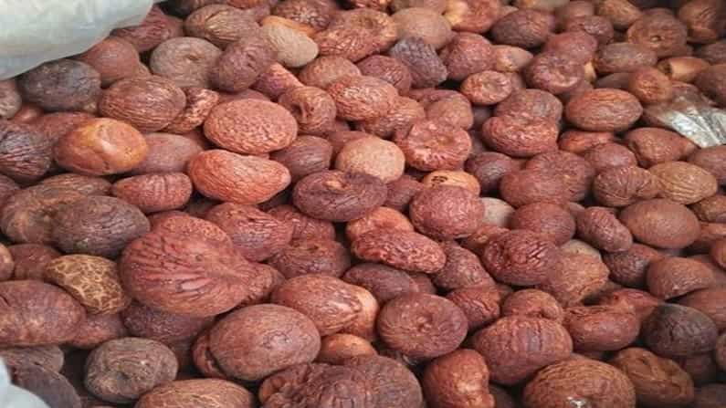 ಅಡಿಕೆಗೆ ಒಳ್ಳೆಯ ಬೆಲೆ: ಅಡಿಕೆ ನಾಡು ಚನ್ನಗಿರಿಯಲ್ಲಿ ಚುರುಕಾಯ್ತು ವ್ಯಾಪಾರ ಅಡಿಕೆಗೆ ಒಳ್ಳೆಯ ಬೆಲೆ: ಅಡಿಕೆ ನಾಡು ಚನ್ನಗಿರಿಯಲ್ಲಿ ಚುರುಕಾಯ್ತು ವ್ಯಾಪಾರ