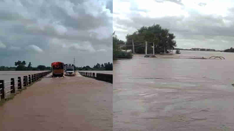 Belagavi Flood: ಅಪಾಯದ ಮಟ್ಟ ಮೀರಿ ಹರಿಯುತ್ತಿರುವ ಕೃಷ್ಣಾ ನದಿ; 30ಕ್ಕೂ ಹೆಚ್ಚು ಗ್ರಾಮಗಳು ಮುಳುಗಡೆ, ನೀರಿನಲ್ಲಿ ತೇಲಿ ಹೋದ ಜಾನುವಾರುಗಳು