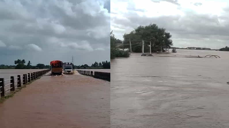 Belagavi Flood: ಅಪಾಯದ ಮಟ್ಟ ಮೀರಿ ಹರಿಯುತ್ತಿರುವ ಕೃಷ್ಣಾ ನದಿ; 30ಕ್ಕೂ ಹೆಚ್ಚು ಗ್ರಾಮಗಳು ಮುಳುಗಡೆ, ನೀರಿನಲ್ಲಿ ತೇಲಿ ಹೋದ ಜಾನುವಾರುಗಳು Belagavi Flood: ಅಪಾಯದ ಮಟ್ಟ ಮೀರಿ ಹರಿಯುತ್ತಿರುವ ಕೃಷ್ಣಾ ನದಿ; 30ಕ್ಕೂ ಹೆಚ್ಚು ಗ್ರಾಮಗಳು ಮುಳುಗಡೆ, ನೀರಿನಲ್ಲಿ ತೇಲಿ ಹೋದ ಜಾನುವಾರುಗಳು
