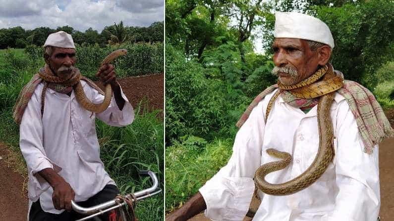 Viral Video: ಮನೆಗೆ ಬಂದ ಹಾವನ್ನು ಕೊರಳಲ್ಲಿ ಸುತ್ತಿಕೊಂಡು ಹೋಗಿ ಕಾಡಿಗೆ ಬಿಟ್ಟ ವೃದ್ಧ; ವಿಡಿಯೋ ವೈರಲ್! Viral Video: ಮನೆಗೆ ಬಂದ ಹಾವನ್ನು ಕೊರಳಲ್ಲಿ ಸುತ್ತಿಕೊಂಡು ಹೋಗಿ ಕಾಡಿಗೆ ಬಿಟ್ಟ ವೃದ್ಧ; ವಿಡಿಯೋ ವೈರಲ್!