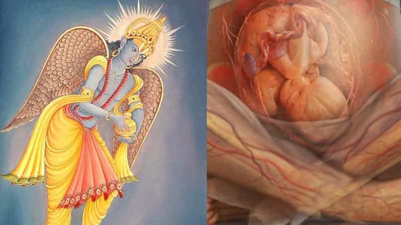 Garuda Purana: ಹುಟ್ಟಿಗೂ ಮೊದಲು ನಾವು, ನೀವು ಅನುಭವಿಸಿದ ಕಷ್ಟ ಎಂಥದ್ದು? ಗರುಡ ಪುರಾಣ ಹೇಳುವುದೇನು? Garuda Purana: ಹುಟ್ಟಿಗೂ ಮೊದಲು ನಾವು, ನೀವು ಅನುಭವಿಸಿದ ಕಷ್ಟ ಎಂಥದ್ದು? ಗರುಡ ಪುರಾಣ ಹೇಳುವುದೇನು?