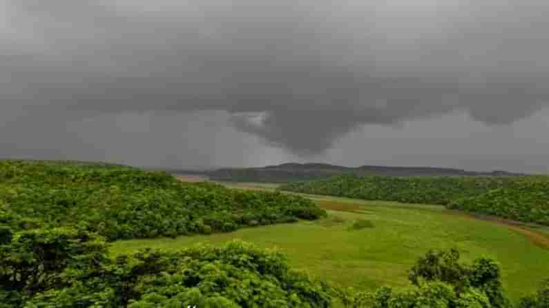 ಬಿಸಿಲನಾಡು ಎಂದು ಕರೆಸಿಕೊಳ್ಳುತ್ತಿದ್ದ ಕಲಬುರಗಿ ಇದೀಗ ಮಲೆನಾಡಿನಂತೆ ಕಂಗೊಳಿಸುತ್ತಿದೆ!