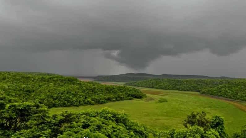 ಬಿಸಿಲನಾಡು ಎಂದು ಕರೆಸಿಕೊಳ್ಳುತ್ತಿದ್ದ ಕಲಬುರಗಿ ಇದೀಗ ಮಲೆನಾಡಿನಂತೆ ಕಂಗೊಳಿಸುತ್ತಿದೆ! ಬಿಸಿಲನಾಡು ಎಂದು ಕರೆಸಿಕೊಳ್ಳುತ್ತಿದ್ದ ಕಲಬುರಗಿ ಇದೀಗ ಮಲೆನಾಡಿನಂತೆ ಕಂಗೊಳಿಸುತ್ತಿದೆ!