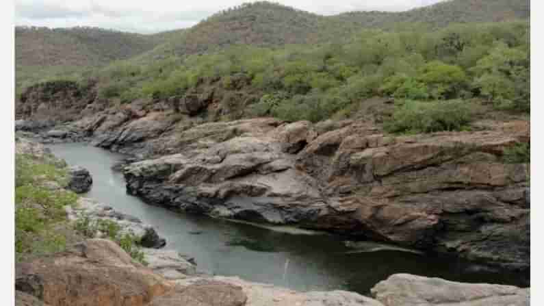 ಮೇಕೆದಾಟು ಡ್ಯಾಂ ನಿರ್ಮಾಣಕ್ಕೆ ಮತ್ತೊಂದು ವಿಘ್ನ; ಈ ಬಾರಿ ಪುದುಚೇರಿಯಿಂದ ಅಡ್ಡಗಾಲು! ಯಾಕಂತೆ?