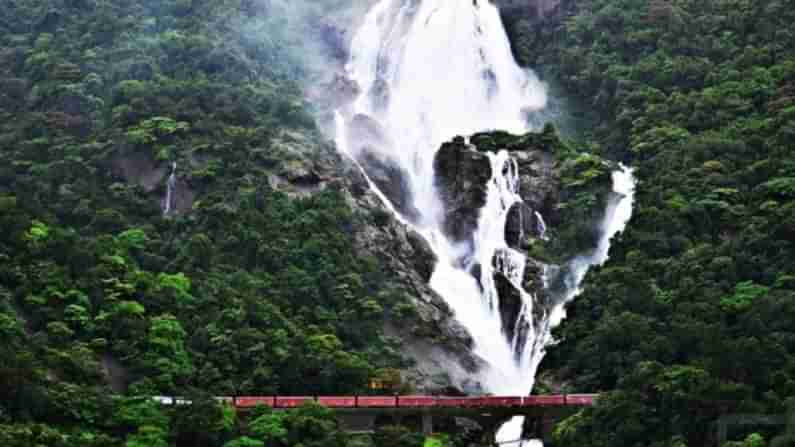 Dudhsagar waterfalls: ಧುಮ್ಮಿಕ್ಕುತ್ತಿರುವ ದೂಧ್​ಸಾಗರ್, ತೆರಳಲು ಸಾಧ್ಯವಾಗದೇ ಜಲಪಾತದೆದುರೇ ನಿಂತ ರೈಲು; ವಿಡಿಯೊ ನೋಡಿ