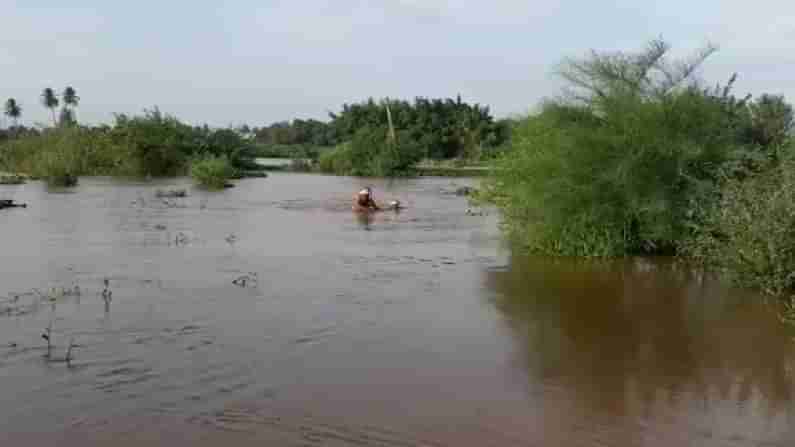 Karnataka Rains: ಉತ್ತರ ಕರ್ನಾಟಕದಲ್ಲಿ ಮಳೆಯ ಅಬ್ಬರ; ಹಾನಿಗೊಳಗಾದ ಸ್ಥಳಕ್ಕೆ ಬಿಜೆಪಿ, ಕಾಂಗ್ರೆಸ್ ನಾಯಕರ ಭೇಟಿ, ಪರಿಶೀಲನೆ