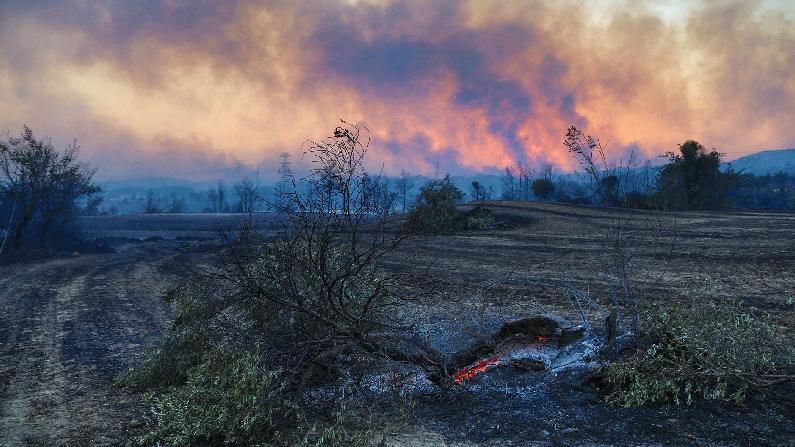 Turkey wildfire