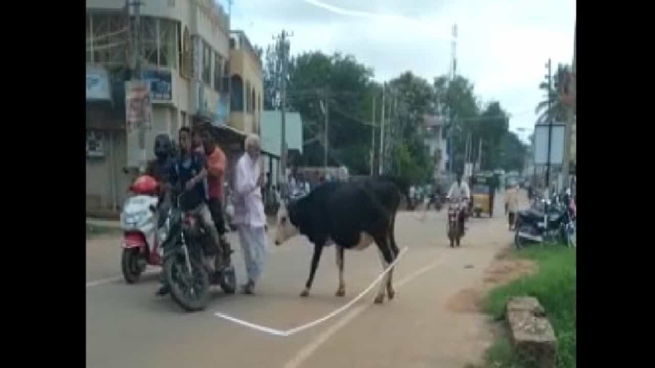 Video: ನಡುರಸ್ತೆಯಲ್ಲಿ ಗೂಳಿಯ ಪುಂಡಾಟ; ವೃದ್ಧನಿಗೆ ಗುಮ್ಮಿದ ಗೂಳಿ Video: ನಡುರಸ್ತೆಯಲ್ಲಿ ಗೂಳಿಯ ಪುಂಡಾಟ; ವೃದ್ಧನಿಗೆ ಗುಮ್ಮಿದ ಗೂಳಿ