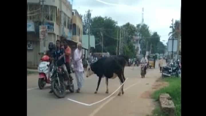 Video: ನಡುರಸ್ತೆಯಲ್ಲಿ ಗೂಳಿಯ ಪುಂಡಾಟ; ವೃದ್ಧನಿಗೆ ಗುಮ್ಮಿದ ಗೂಳಿ Video: ನಡುರಸ್ತೆಯಲ್ಲಿ ಗೂಳಿಯ ಪುಂಡಾಟ; ವೃದ್ಧನಿಗೆ ಗುಮ್ಮಿದ ಗೂಳಿ