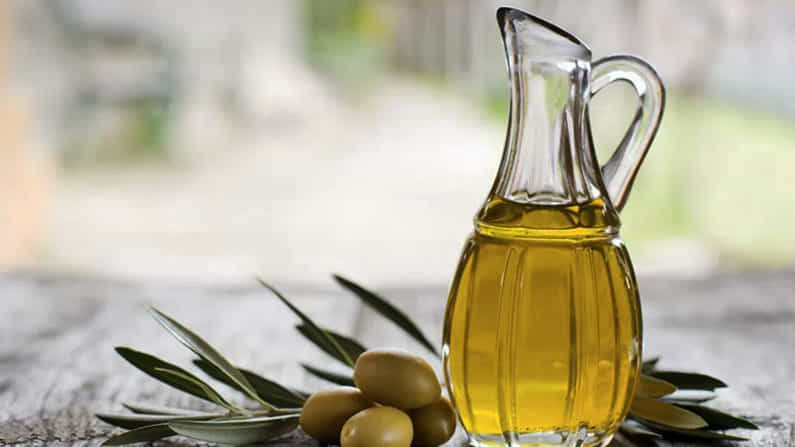 Hair Care Tips: ನಿಮಗೆ ಉದ್ದ ಕೂದಲು ಇಷ್ಟನಾ? ಆಲಿವ್ ಎಣ್ಣೆಯನ್ನು ಹೀಗೆ ಬಳಸಿ