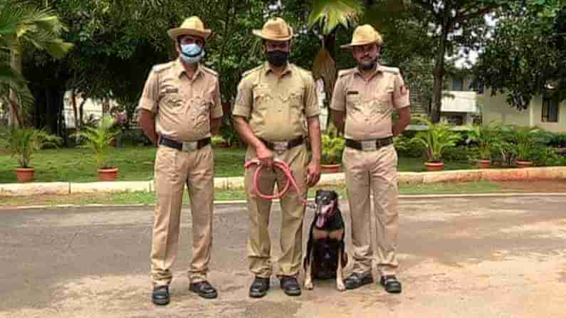 ದಾವಣಗೆರೆ: ಒಂಟಿ ವೃದ್ಧೆ ಕೊಲೆ ಪ್ರಕರಣ ಪತ್ತೆ ಹಚ್ಚಿದ ಪೊಲೀಸ್ ಡಾಗ್ ತುಂಗಾ; ಶ್ವಾನದ ಯಶೋಗಾಥೆ ಇಲ್ಲಿದೆ