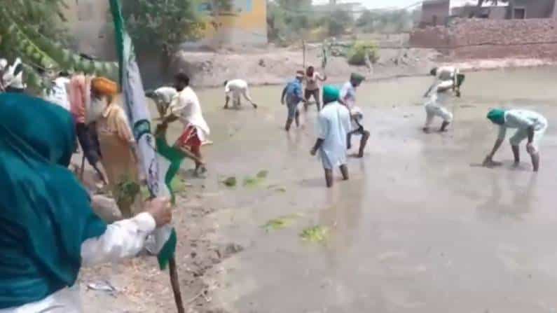 Farmers Protest: ಪಂಜಾಬ್ನಲ್ಲಿ ಬಿಜೆಪಿ ಮುಖಂಡನ ಹೊಲಕ್ಕೆ ನುಗ್ಗಿ ಭತ್ತದ ಸಸಿಗಳನ್ನು ಪೂರ್ತಿಯಾಗಿ ನಾಶ ಮಾಡಿದ ರೈತರು Farmers Protest: ಪಂಜಾಬ್ನಲ್ಲಿ ಬಿಜೆಪಿ ಮುಖಂಡನ ಹೊಲಕ್ಕೆ ನುಗ್ಗಿ ಭತ್ತದ ಸಸಿಗಳನ್ನು ಪೂರ್ತಿಯಾಗಿ ನಾಶ ಮಾಡಿದ ರೈತರು