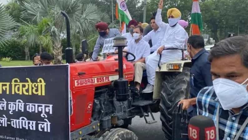 Rahul Gandhi: ನೂತನ ಕೃಷಿ ಕಾಯ್ದೆ ವಿರೋಧಿಸಿ ಟ್ರ್ಯಾಕ್ಟರ್ ಏರಿ ಸಂಸತ್ತಿಗೆ ಬಂದ ರಾಹುಲ್ ಗಾಂಧಿ Rahul Gandhi: ನೂತನ ಕೃಷಿ ಕಾಯ್ದೆ ವಿರೋಧಿಸಿ ಟ್ರ್ಯಾಕ್ಟರ್ ಏರಿ ಸಂಸತ್ತಿಗೆ ಬಂದ ರಾಹುಲ್ ಗಾಂಧಿ