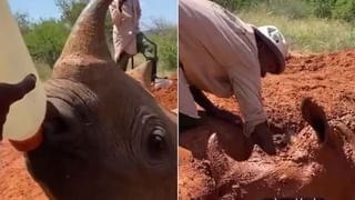 ಗನ್ ಜೊತೆ ಸೆಲ್ಫಿ ತೆಗೆದು ಪ್ರಾಣ ಕಳೆದುಕೊಂಡ ನವವಿವಾಹಿತೆ